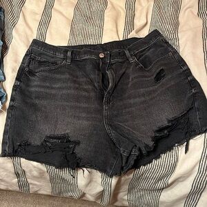 Women’s AE size 18 shorts